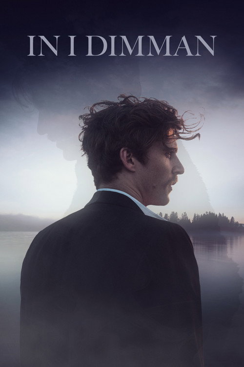 In i dimman Poster