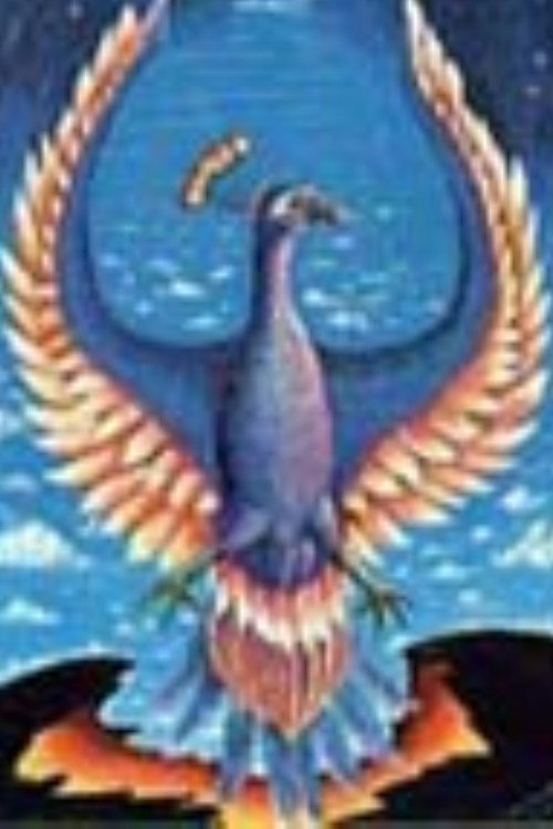 A Whole New Life! ...Through Past Life Therapy Poster