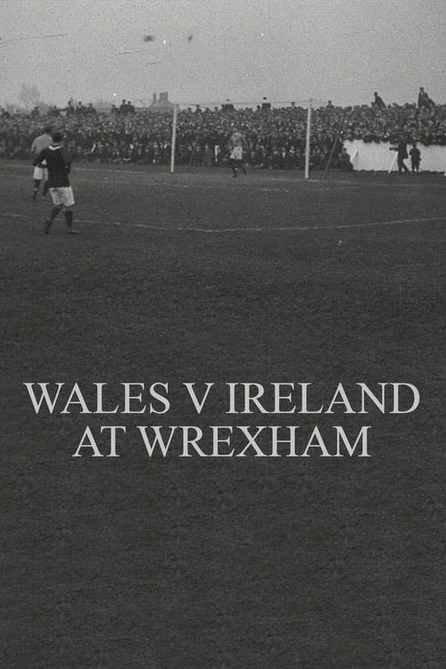 Wales v. Ireland at Wrexham Poster