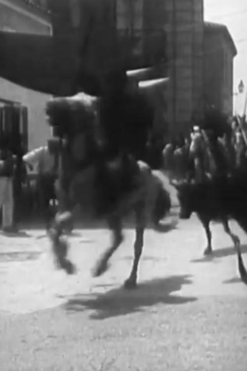 Course de taureaux provençale Poster