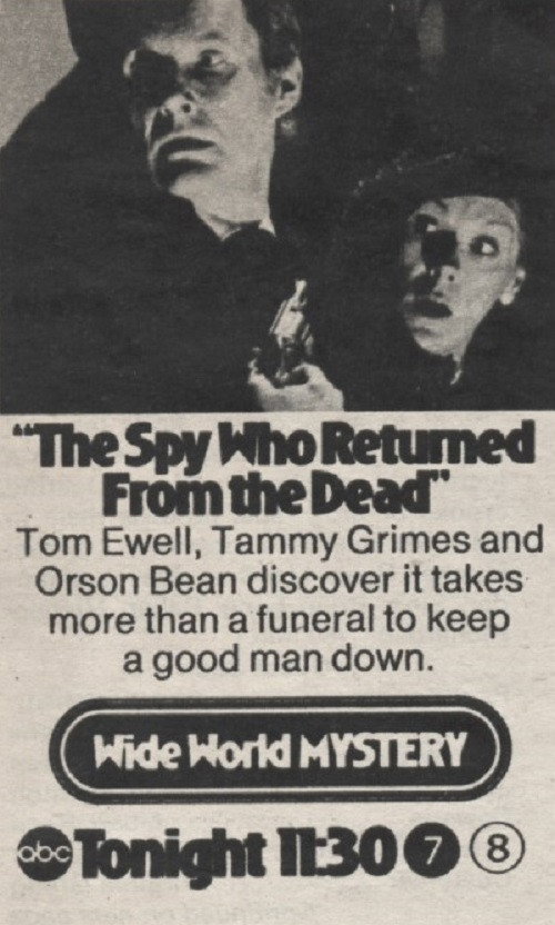 The Spy Who Returned from the Dead Poster