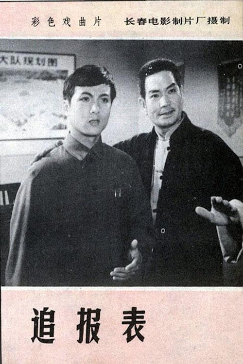 追报表 Poster