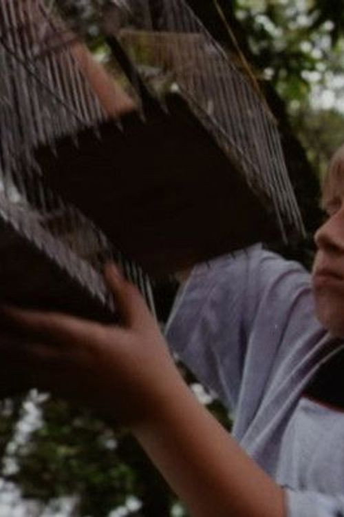 O Velho do Saco Poster