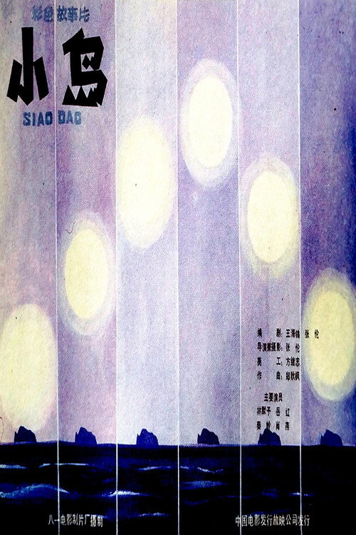 小岛 Poster