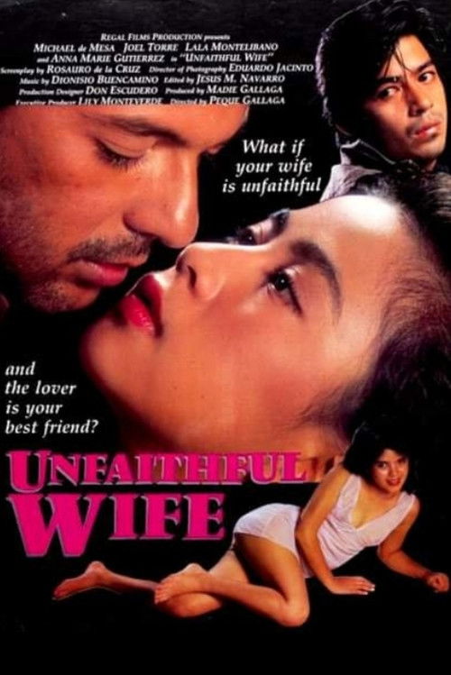 Unfaithful Wife Poster