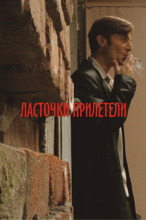 Swallows Have Arrived Poster