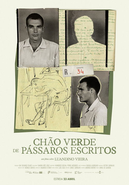 Chão Verde de Pássaros Escritos Poster