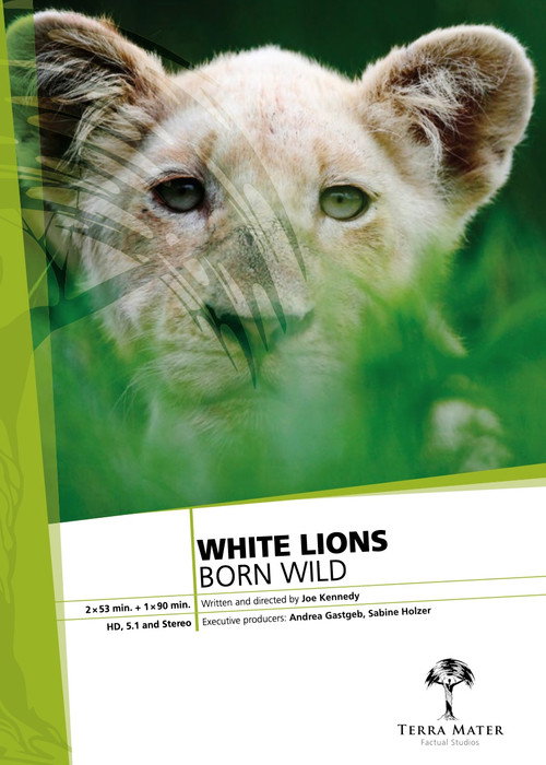 White Lions Born Wild Poster