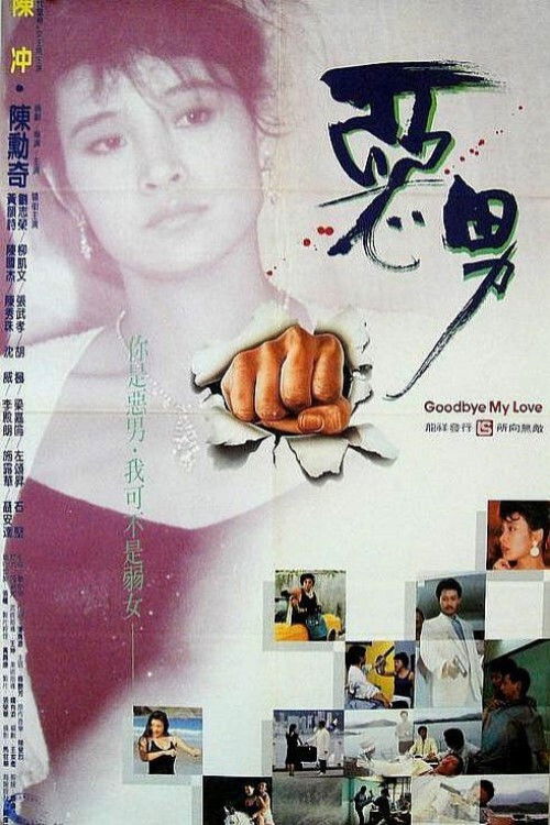 Goodbye My Hero Poster