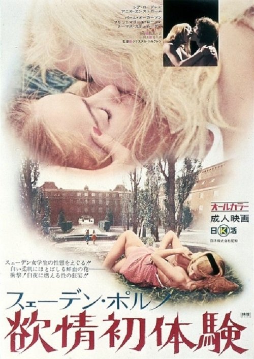 Swedish Porno: Desire First Sex Experience Poster