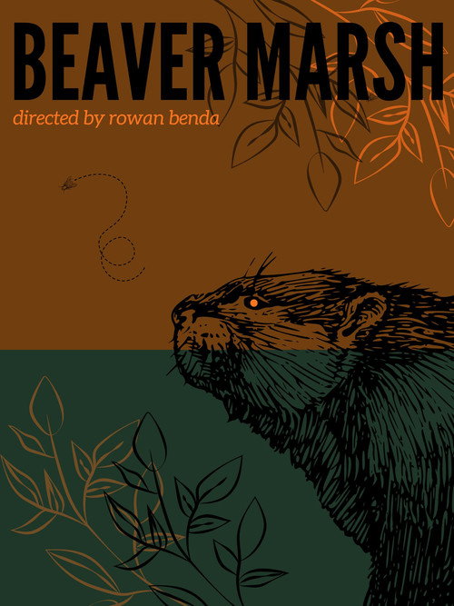 Beaver Marsh Poster