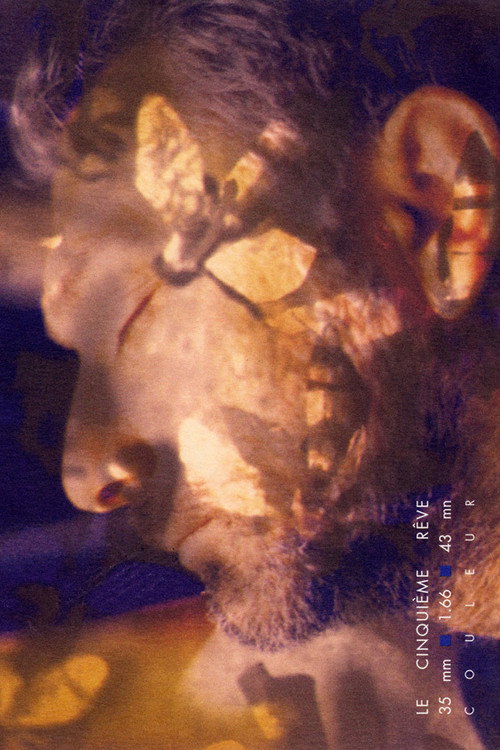 Fifth Dream Poster