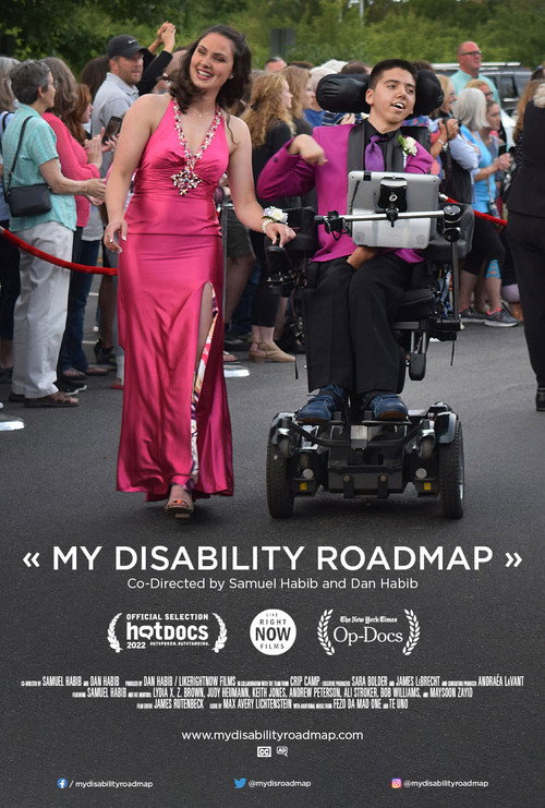 My Disability Roadmap Poster