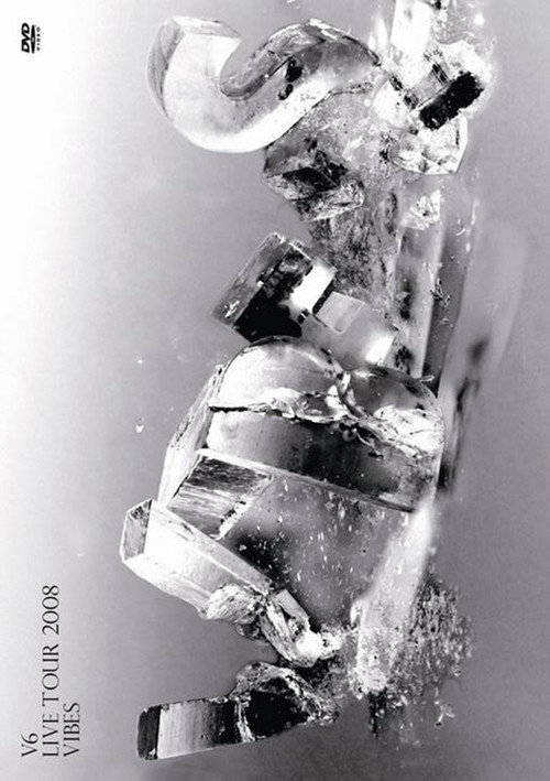 V6 LIVE TOUR 2008 VIBES Poster
