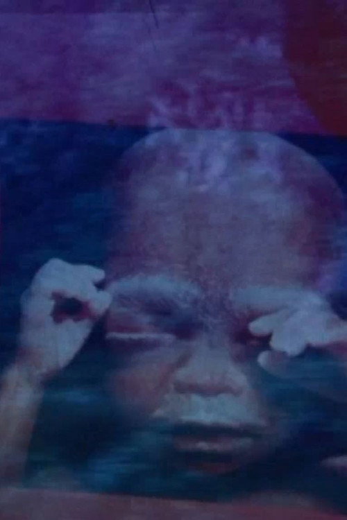 Le Palme e Tangeri Poster