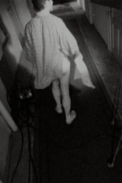 Hotel Cișmigiu Poster