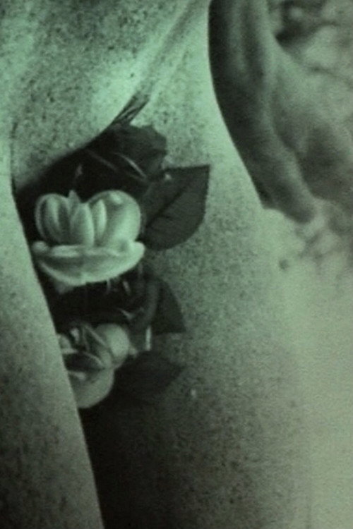 Bouche D'Oeil Poster