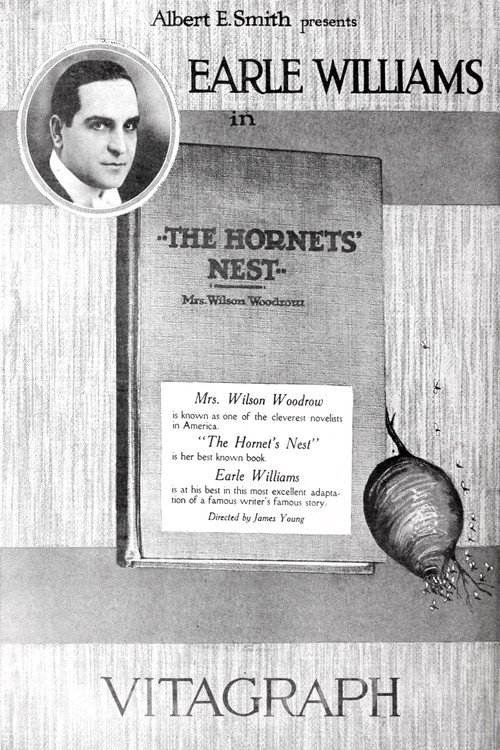 Hornet's Nest Poster