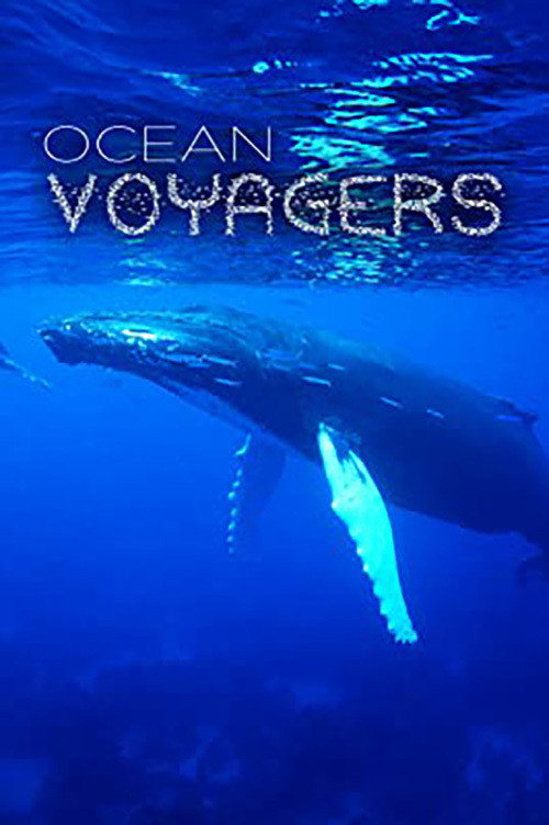 Ocean Voyagers Poster