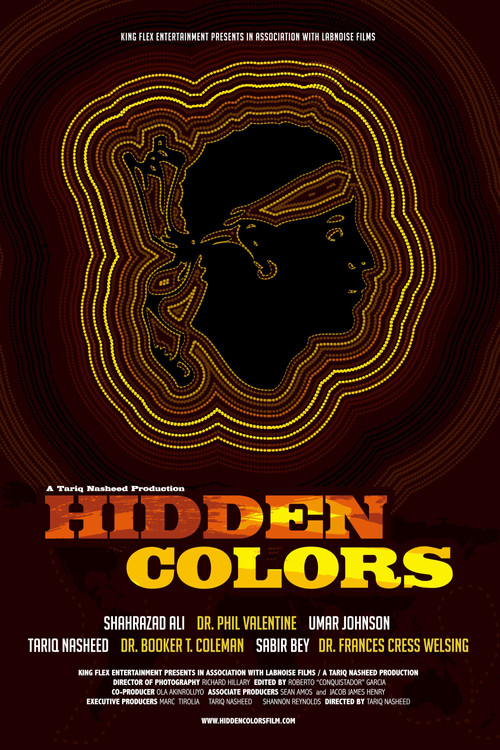 Hidden Colors Poster