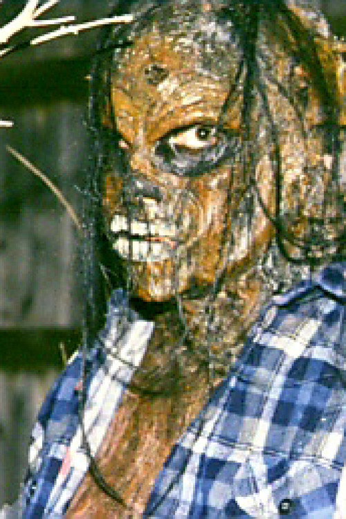 The Harvester Poster