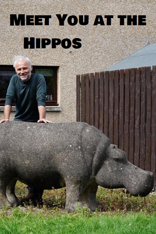 Meet You at the Hippos Poster