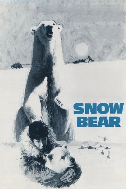 Snow Bear Poster