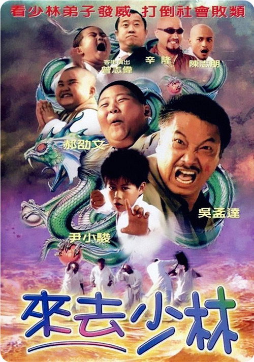 来去少林 Poster