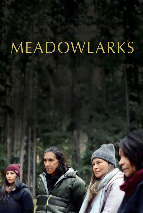 Meadowlarks Poster