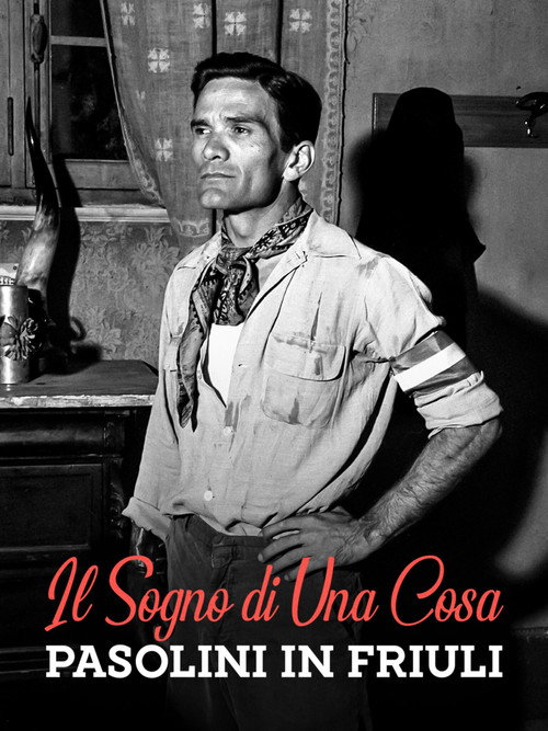Il sogno di una cosa - Pasolini in Friuli Poster