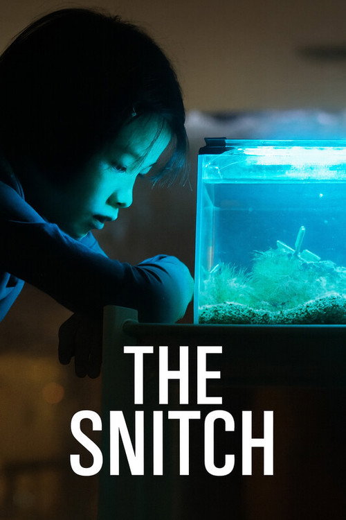 The Snitch Poster