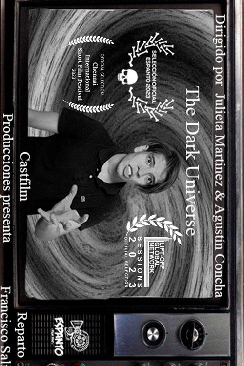 The Dark Universe Poster