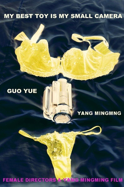 Female Directors Poster