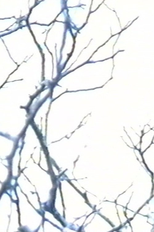 Stereo #0 - 30 drones for television - Drone 15 Poster