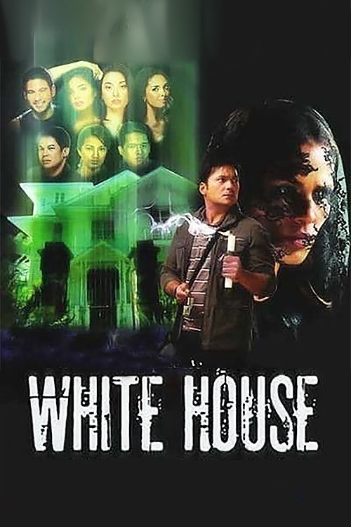 White House Poster