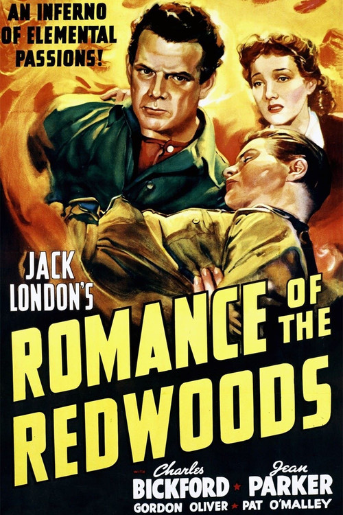 Romance of the Redwoods Poster