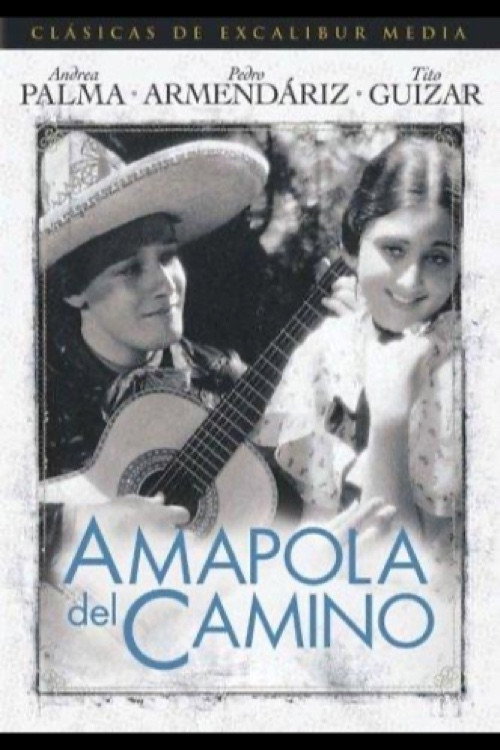 Amapola Del Camino Poster