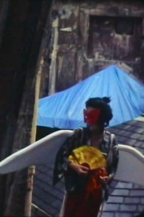 Butterfly Experiment Poster