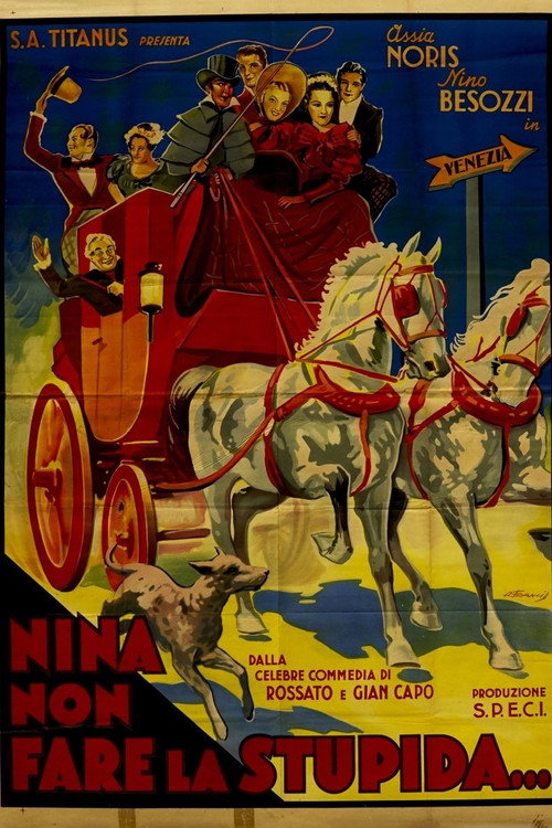 Nina, non far la stupida Poster