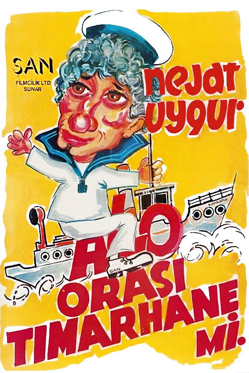 Alo Orası Tımarhane mi Poster