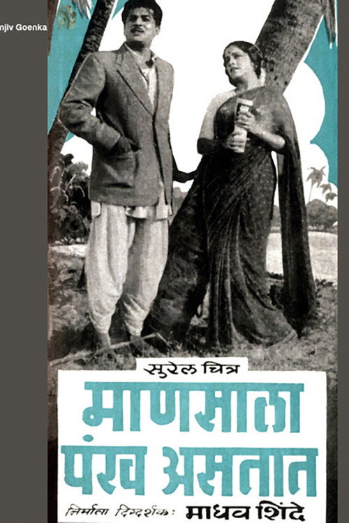 Mansala Pankh Astat Poster