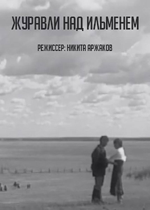 Cranes over Ilmen Poster