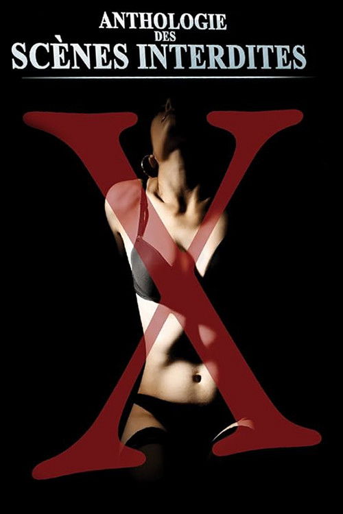 Anthologie des scènes interdites érotiques et pornographiques de José Bénazéraf Poster