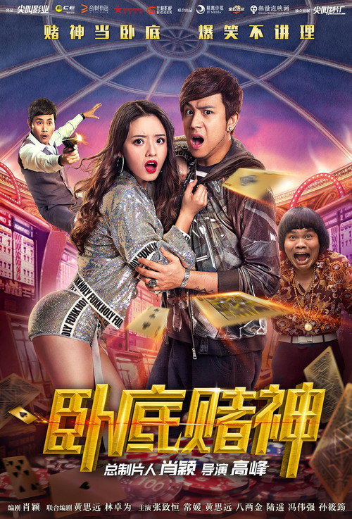 The Undercover Hero Poster