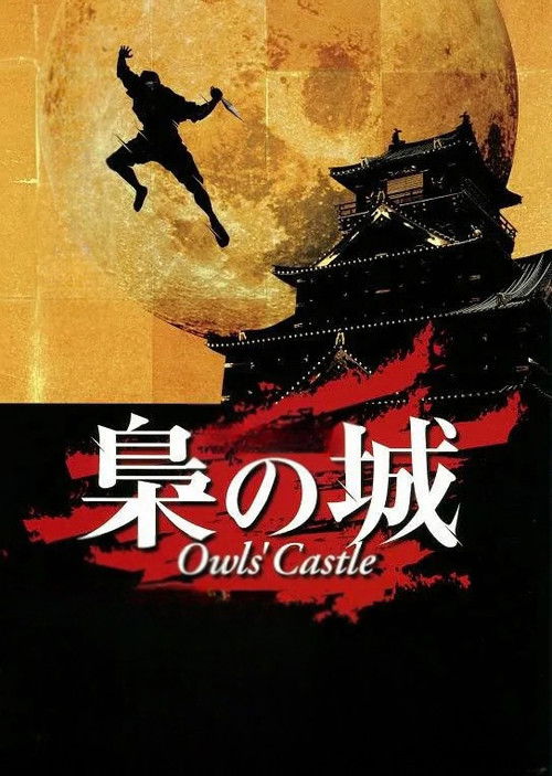 Owls' Castle Poster