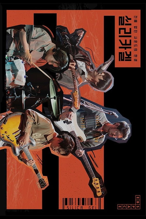 Silica Gel: The Birth of a Young and Brave Sound Poster