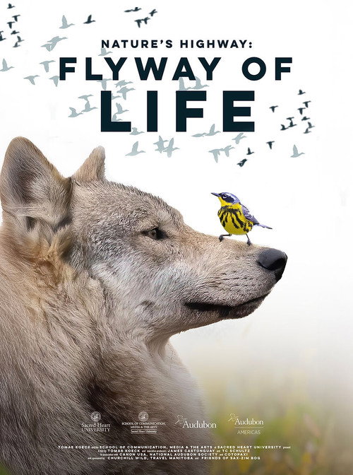 Flyway of Life Poster