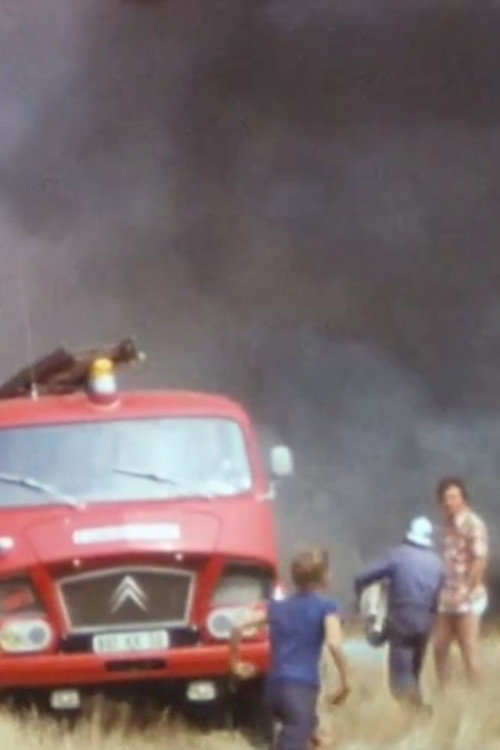 Summary of a Summer Poster