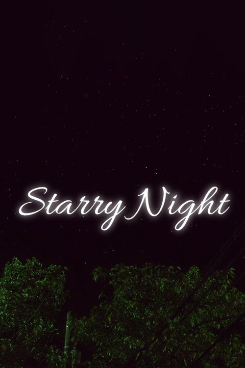 Starry Night Poster