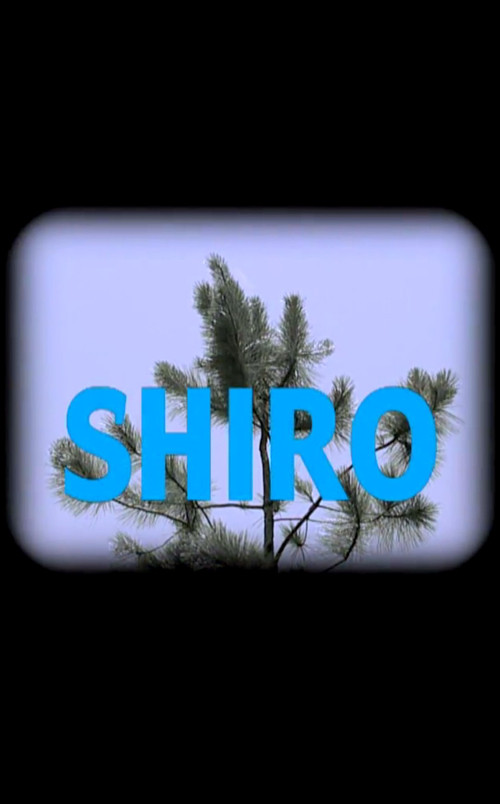 Shiro Poster